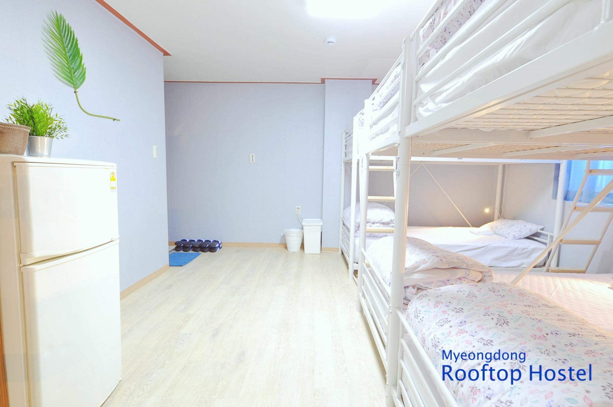 Myeongdong Rooftop Hostel Seúl Exterior foto